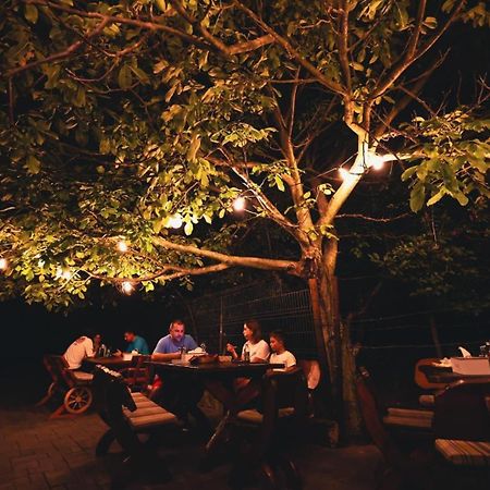 Hanu Lui Gica Spa Satu Mare Ngoại thất bức ảnh