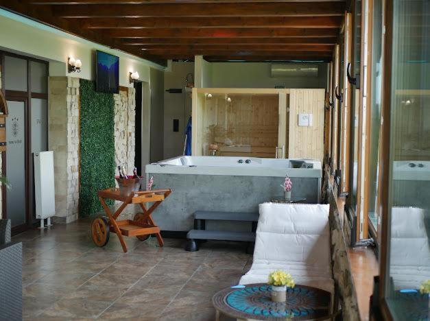 Hanu Lui Gica Spa Satu Mare Ngoại thất bức ảnh