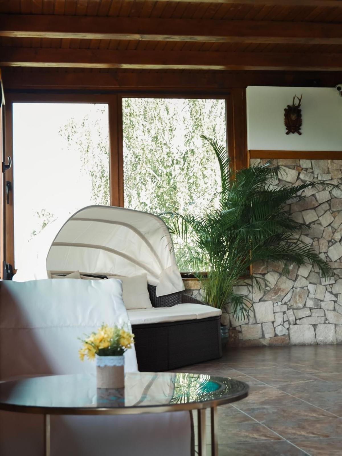 Hanu Lui Gica Spa Satu Mare Ngoại thất bức ảnh