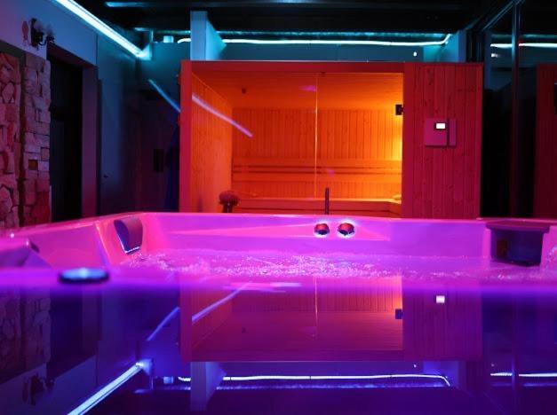 Hanu Lui Gica Spa Satu Mare Ngoại thất bức ảnh