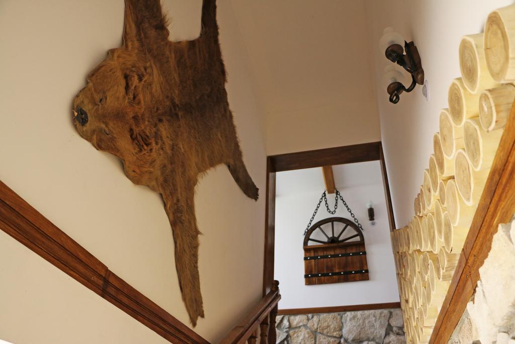 Hanu Lui Gica Spa Satu Mare Ngoại thất bức ảnh
