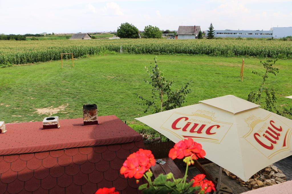 Hanu Lui Gica Spa Satu Mare Ngoại thất bức ảnh