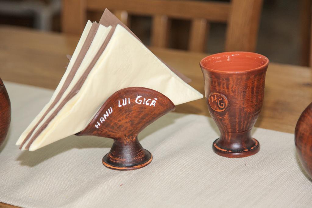 Hanu Lui Gica Spa Satu Mare Ngoại thất bức ảnh